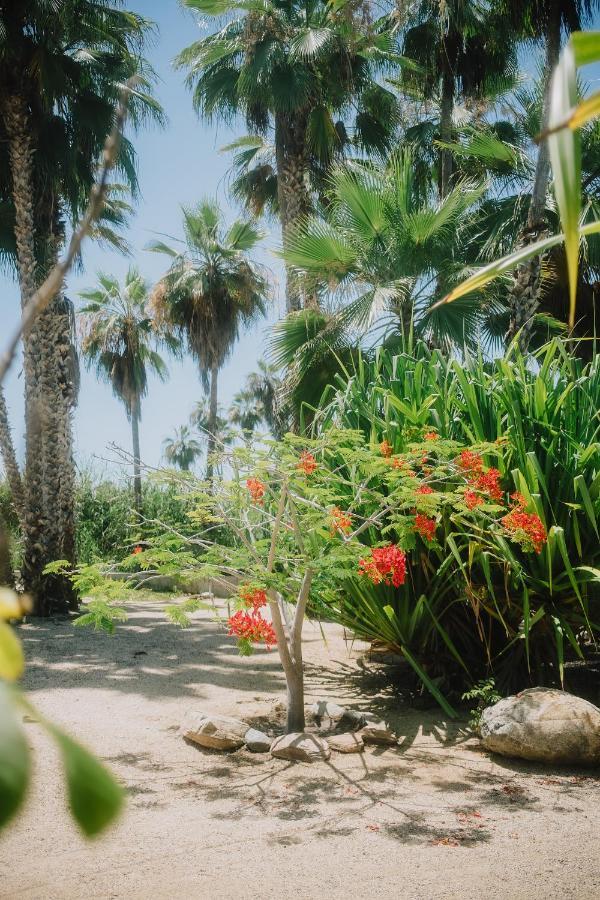 La Poza Boutique Hotel And Spa - Adults 15 Plus Todos Santos Exterior photo