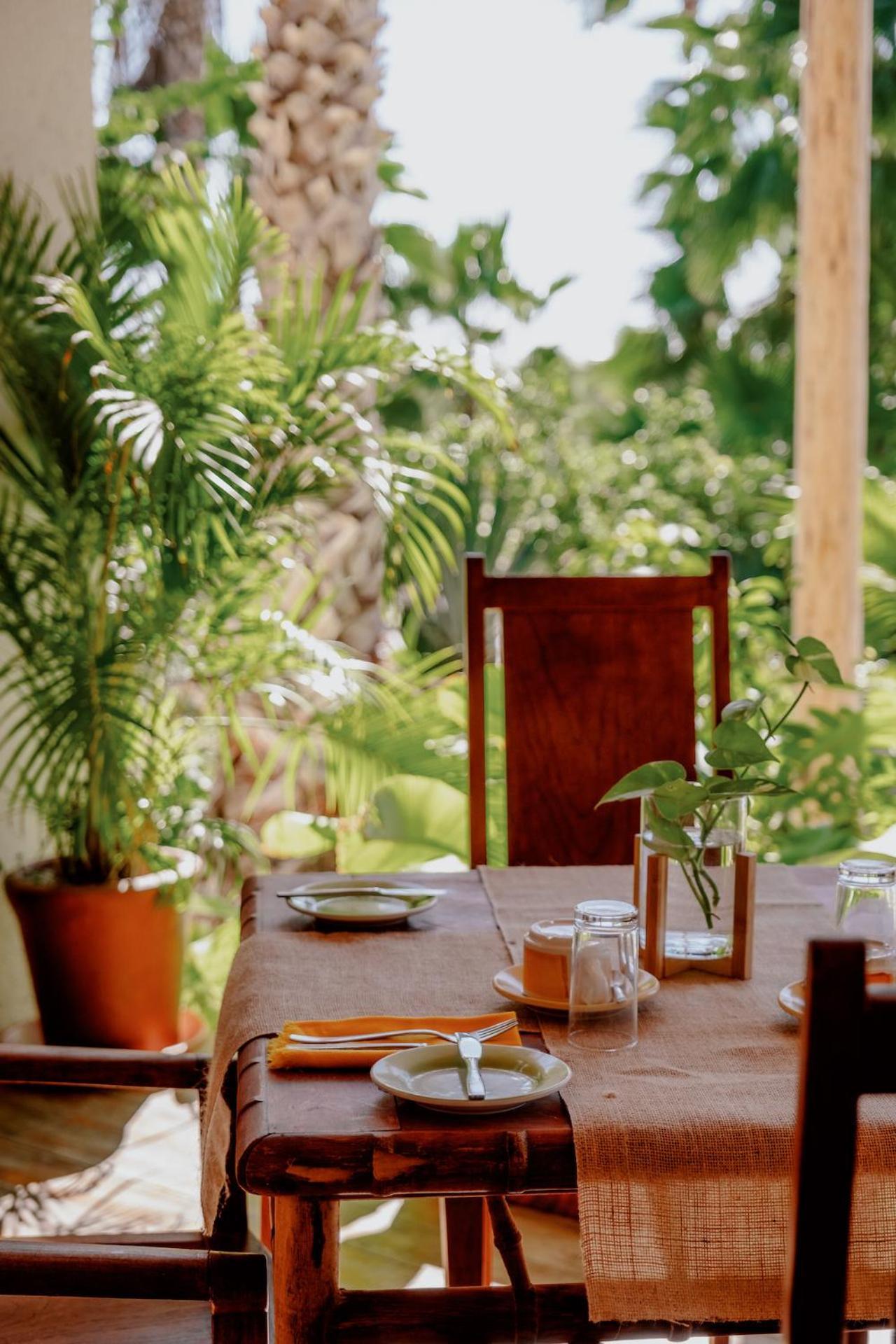 La Poza Boutique Hotel And Spa - Adults 15 Plus Todos Santos Exterior photo