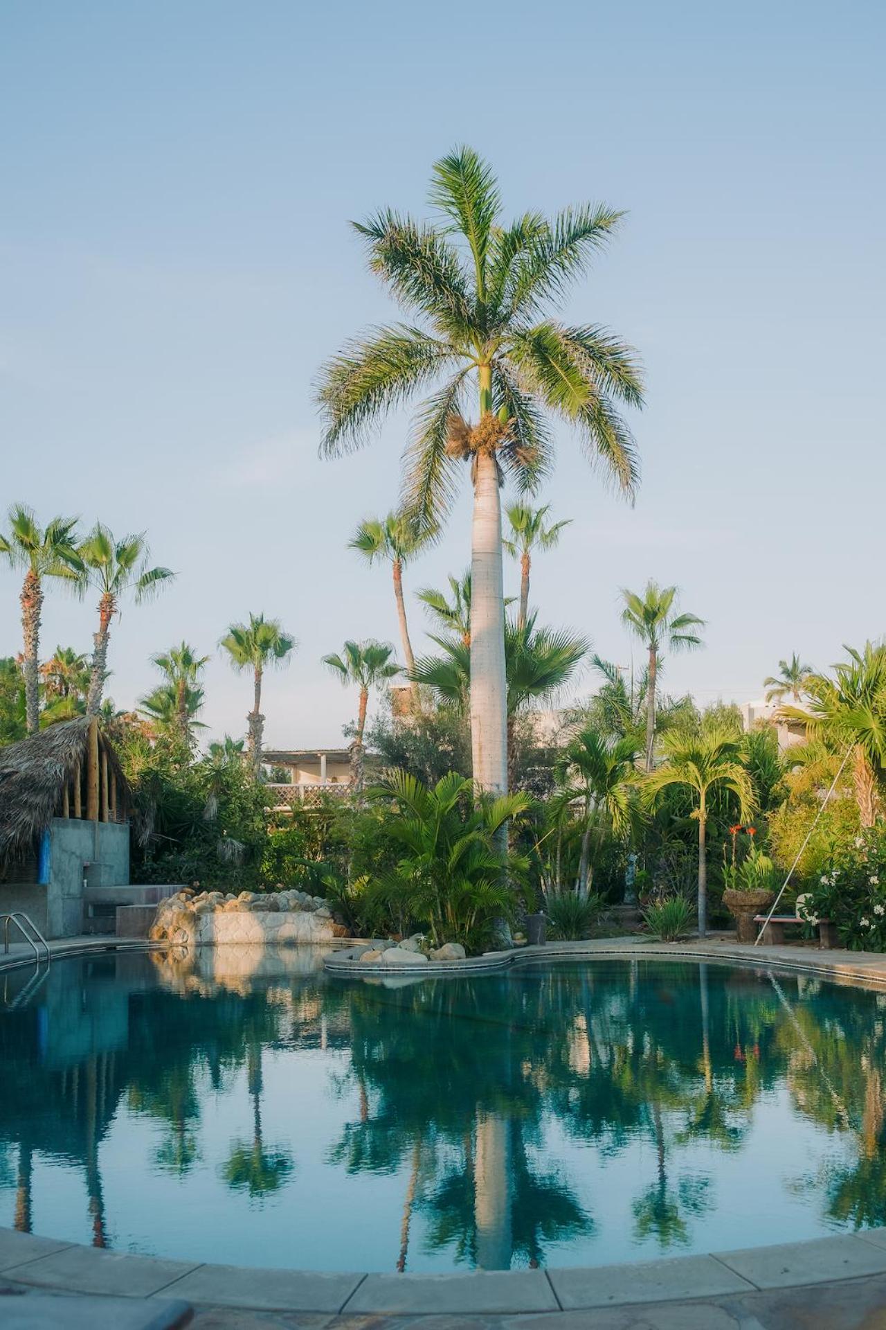 La Poza Boutique Hotel And Spa - Adults 15 Plus Todos Santos Exterior photo